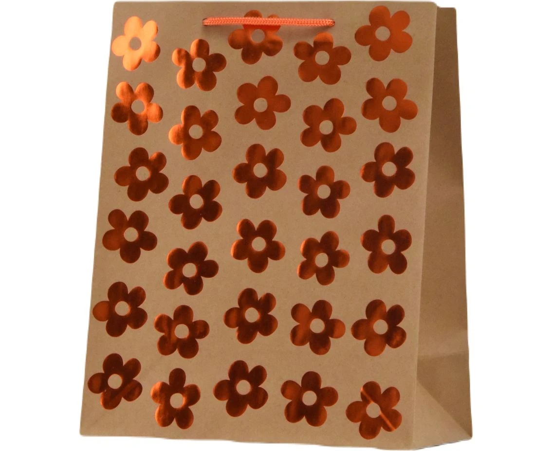 CANPOL Gift Bag Kraft Pattern with gilding 26x32x13 cm, 1 pc.